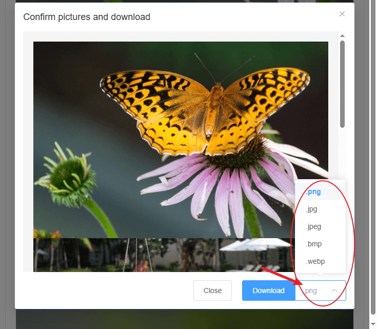 Merge Pictures Release Notes - Select Output File Type